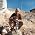 Thumbnail image of Vago Chris Damitio