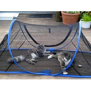 discount Outdoor Feline Funhouse - Cat Enclosure Tent for sale