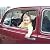  Volkswagen :Thumbnail 16