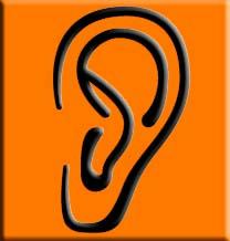 Amazon.com : Stereo Wire Harness Honda Accord 94 95 96 97 Car Radio