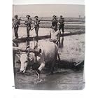 Click here to buy China-Burma-India (World War II Series) by  Don Moser.