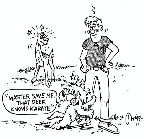 Pennsylvania Wildlife Tails: A Game Warden's Notebook Paperback ... Pennsylvania Wildlife Tails: A Game Warden's Notebook Paperback ...