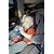 Safety 1st Alpha Omega Elite Convertible Car Seat