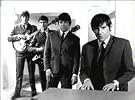 The Animals