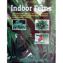 Indoor Ferns