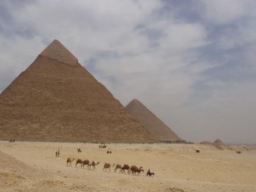 Camel Train in front of Pyramids - Photo by P.D. Bramsen