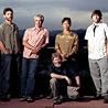 Image of String Cheese Incident