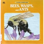 Bees, Wasps and Ants (A Golden Junior Guide) book cover