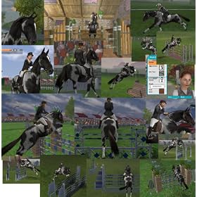 Equestrian Challenge