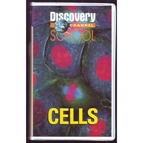 Cells - Discovery Channel School