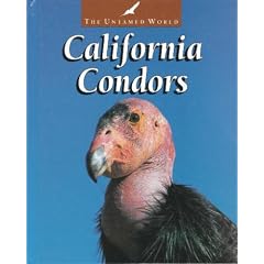 California Condors (The Untamed World)