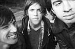 The Whigs