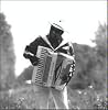 Nathan & The Zydeco Cha-Chas
