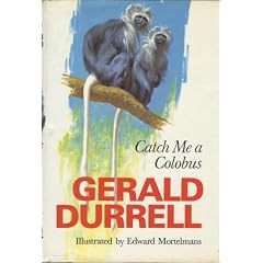 Catch Me a Colobus
