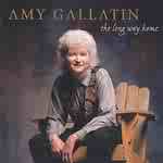 Long Way Home by  Amy Gallatin 