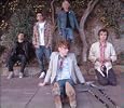 Mystery Jets