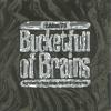 Bucketfull Of Brains 50th Anniversary by  Matthew Sweet, Sparklehorse, You Am I, Tommy Keene, and Bill Lloyd 
