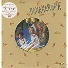 Shy Boy by  Bananarama 