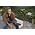 Thumbnail image of Lindsey Buckingham