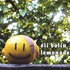 Lemonade by  Eli Bolin 