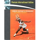 Human Anatomy and Physiology Seventh Edition by  Elaine N.; Hoehn, Katja Marieb