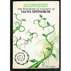 Salvinorin: The Psychedelic Essence of Salvia Divinorum