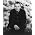Thumbnail image of Sting