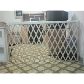 Evenflo Expansion Swing Gate