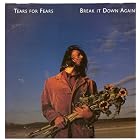 Break it Down Again by Tears For Fears