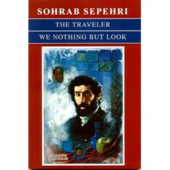 The Traveler We Nothing but Look