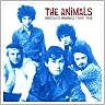 Amazon's The Animals Store