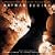 Batman Begins