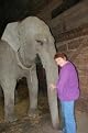 Judy Reene Singer