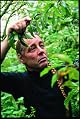 Bob Flowerdew