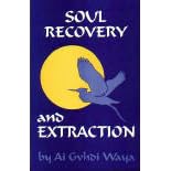 Soul Recovery and Extraction