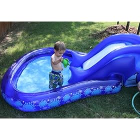Slide N' Splash Whale Pool