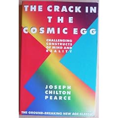 The Crack in the Cosmic Egg: Challenging Constructs of Mind and Reality