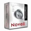 Intranetware and Netware 4.11 Additive Licenses 10-user