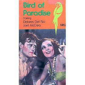 Buy Bird of Paradise now!