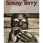 The Harp Styles of Sonny Terry book cover