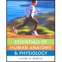 Essentials of Human Anatomy and Physiology by  Elaine Nicpon Marieb