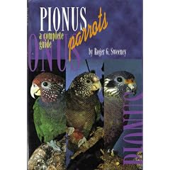 Pionus Parrots: A Complete Guide