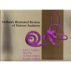 Melloni's Illustrated Review of Human Anatomy: By Structures--Arteries, Bones, Muscles,... by  June L. Melloni, Ida Dox, H. Paul Melloni, and B. John Melloni