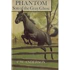 Phantom: Son of the Gray Ghost by Clarence William Anderson, C W Anderson, and Author