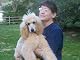 Katherine A. Dettwyler
