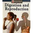 Digestion and Reproduction (Understanding the Human Body) by  Steve Parker
