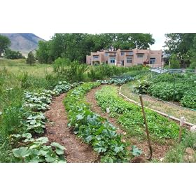 The Zen Of Gardening In the High & Arid West: Tips, Tools, and Techniques