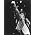 Thumbnail image of Michael Jackson