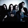 The Veils