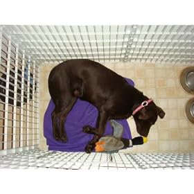 IRIS Plastic Exercise / Containment Pet Pen for Dogs, White